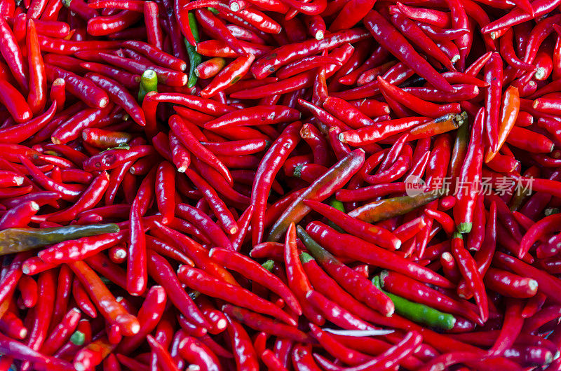 Top View Pile of Fresh Chili and Ripe Red Hot Chili in The Basket for Sale in The Vegetables Market of Bangkok, Thailand背景纹理或模板模拟或输入文本